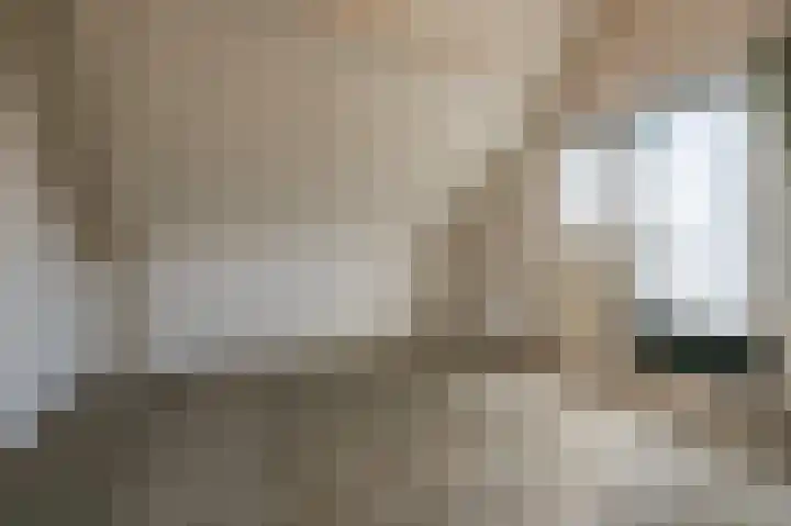 Wilgenhof 6 Nieuw-Beijerland thumbnail 16