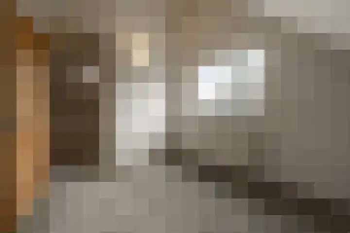 Wilgenhof 6 Nieuw-Beijerland thumbnail 21