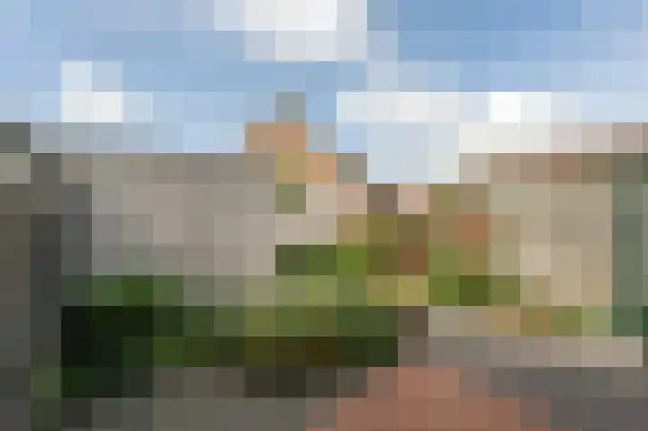 Wilgenhof 6 Nieuw-Beijerland thumbnail 23