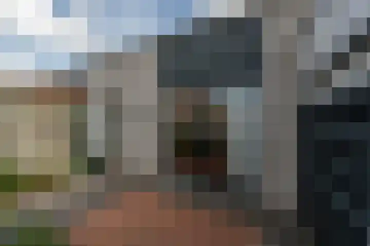 Wilgenhof 6 Nieuw-Beijerland thumbnail 24