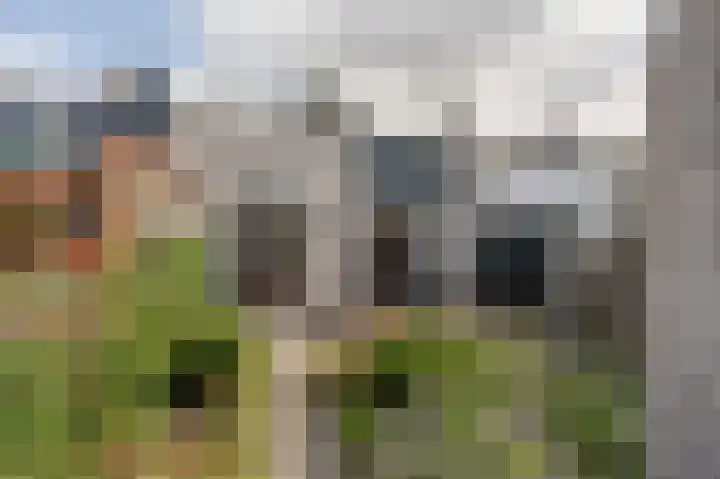 Wilgenhof 6 Nieuw-Beijerland thumbnail 25