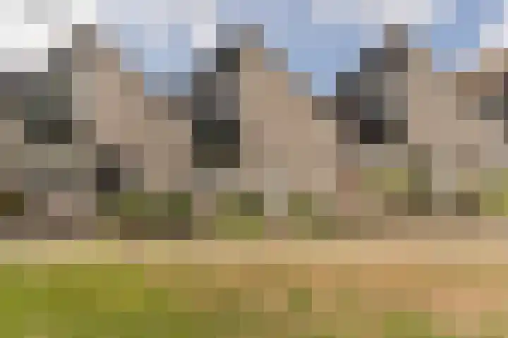 Wilgenhof 6 Nieuw-Beijerland thumbnail 29
