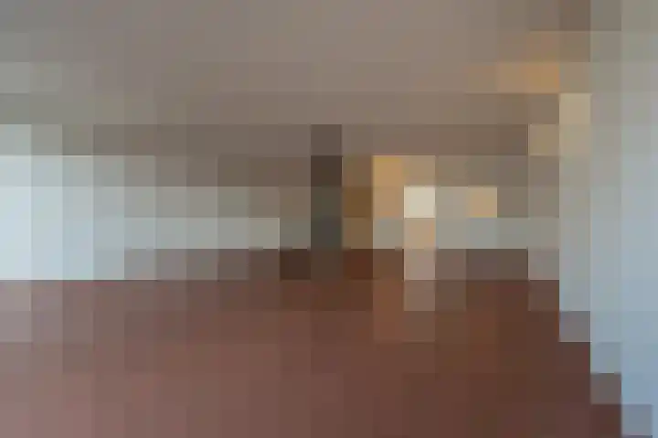 Wilgenhof 6 Nieuw-Beijerland thumbnail 8