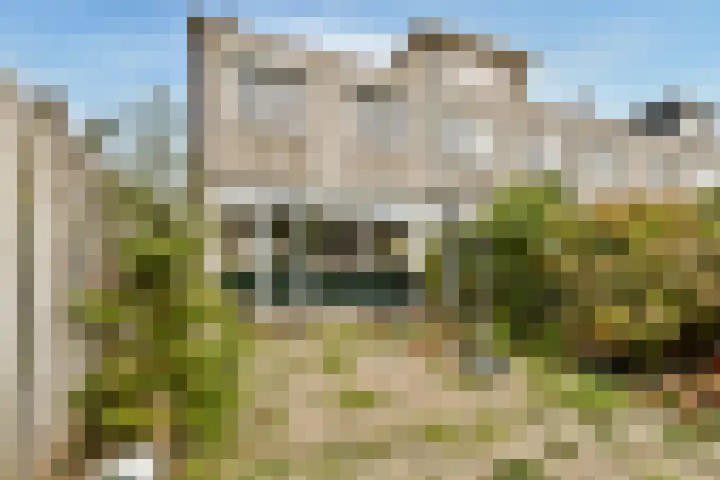 Wilgenhof 6 Ouderkerk aan den IJssel thumbnail 10
