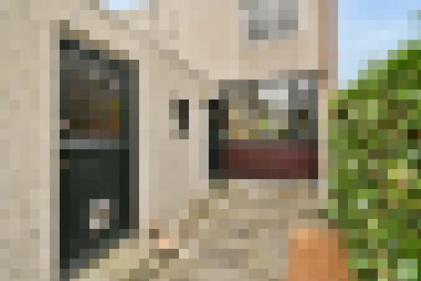 Wilgenhof 6 Ouderkerk aan den IJssel thumbnail 22