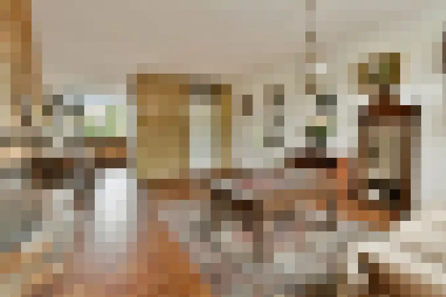 Wilgenhof 6 Ouderkerk aan den IJssel thumbnail 5
