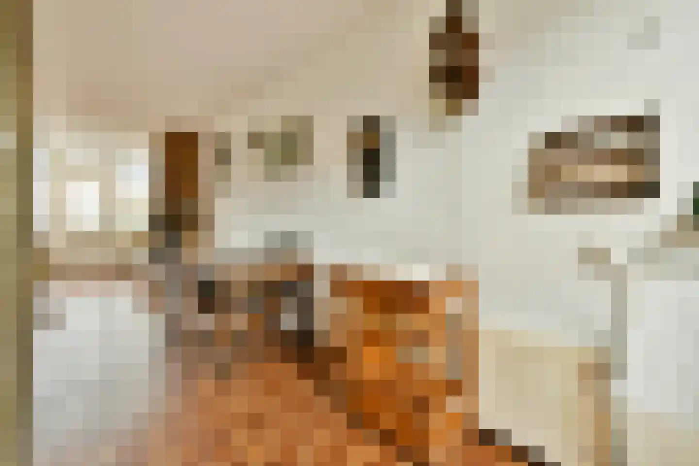 Wilgenhof 6 Ouderkerk aan den IJssel thumbnail 7