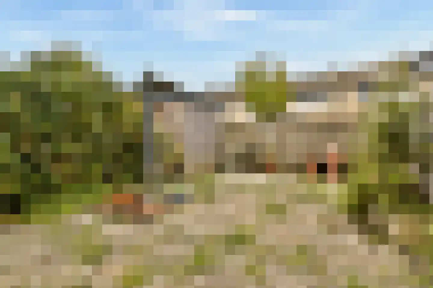 Wilgenhof 6 Ouderkerk aan den IJssel thumbnail 8