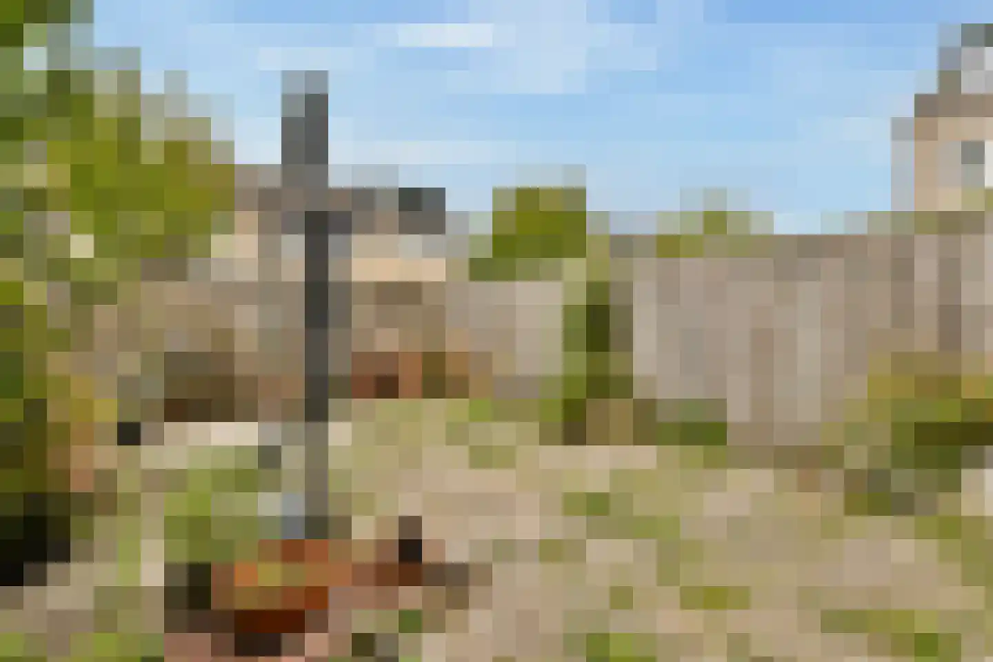 Wilgenhof 6 Ouderkerk aan den IJssel thumbnail 9
