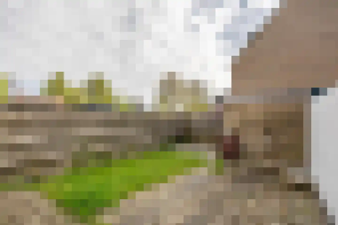 Wilgenhof 7 Spijk thumbnail 21