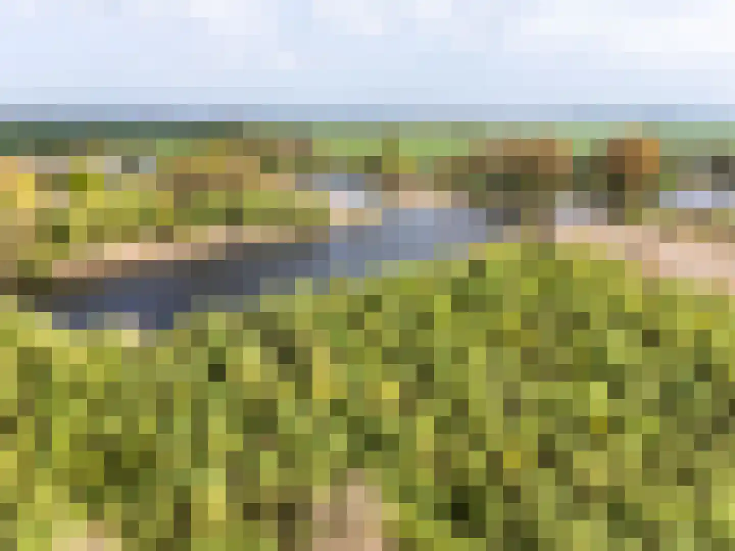 Wilgenhof 7 Spijk thumbnail 25