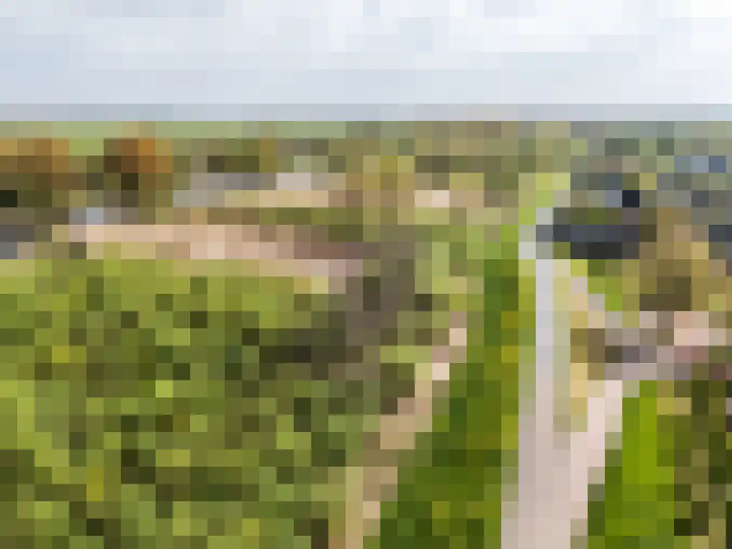 Wilgenhof 7 Spijk thumbnail 26