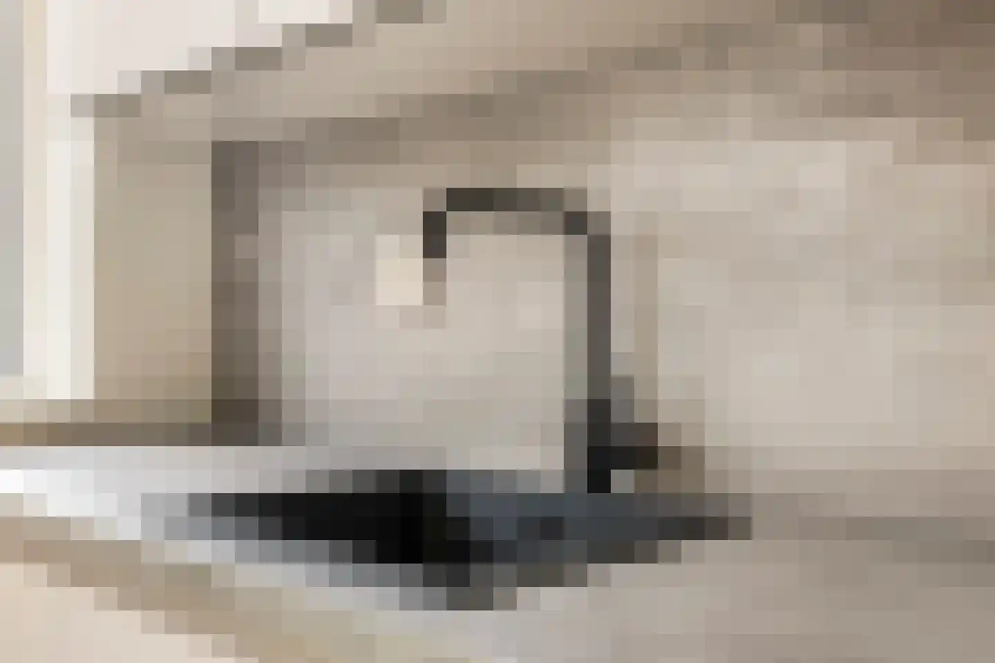 Wilgenhof 7 Spijk thumbnail 7