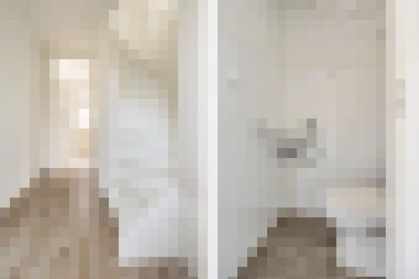 Wilgenhof 7 Spijk thumbnail 9
