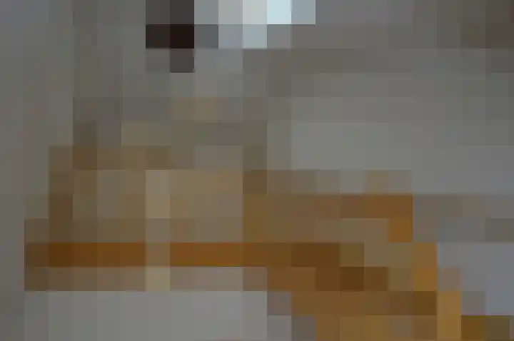 Wilgenhof 74 Deurne thumbnail 20