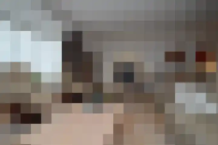 Wilgenhof 74 Deurne thumbnail 4