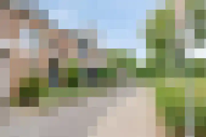 Wilgenhof 9 Bergen op Zoom thumbnail 46