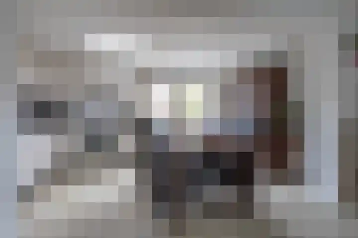 Wilgenhoflaan 51 Beverwijk thumbnail 10