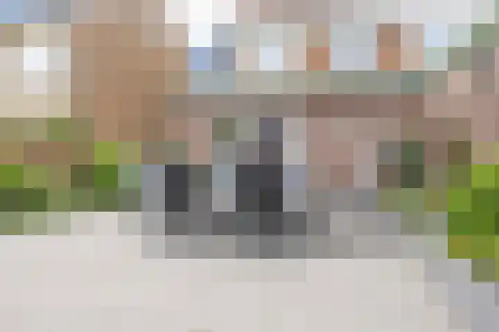 Wilgenhoflaan 51 Beverwijk thumbnail 29