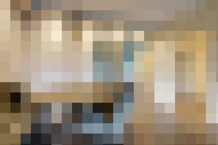 Wilgenhorst 1 Waddinxveen thumbnail 14