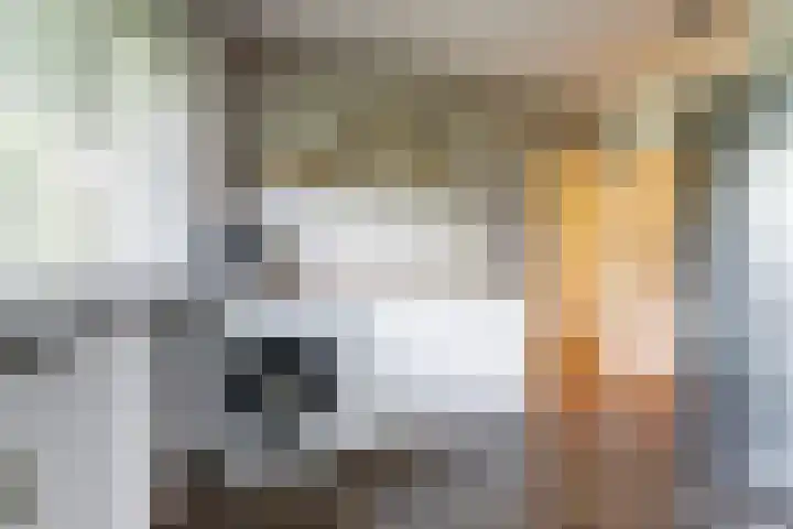 Wilgenhorst 1 Waddinxveen thumbnail 19