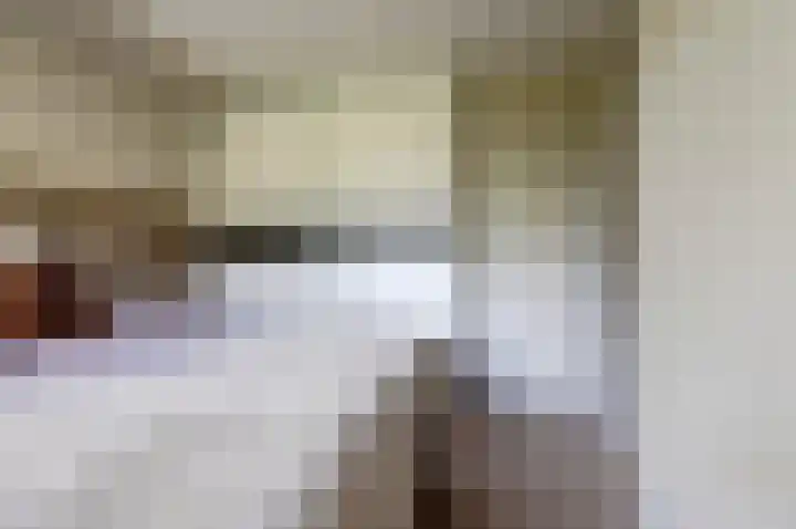 Wilgenhorst 1 Waddinxveen thumbnail 21