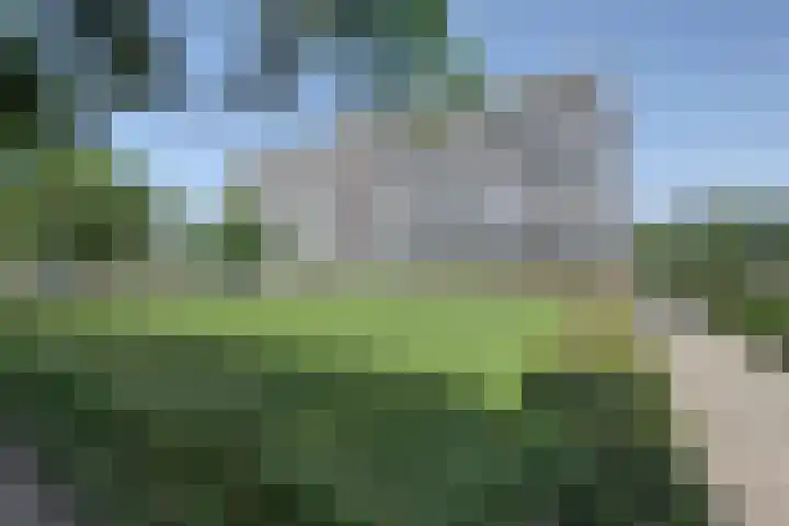 Wilgenhorst 1 Waddinxveen thumbnail 6