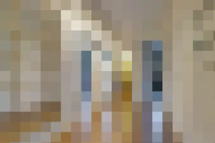 Wilgenhorst 1 Waddinxveen thumbnail 9