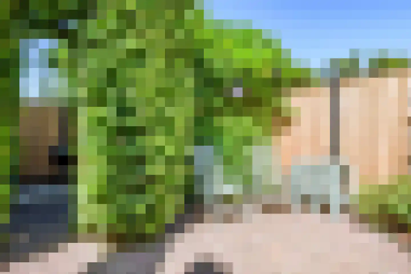 Wilgenhorst 2 Voorhout thumbnail 21