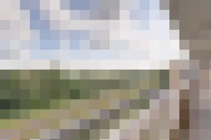Wilgenhorst 36 Waddinxveen thumbnail 22
