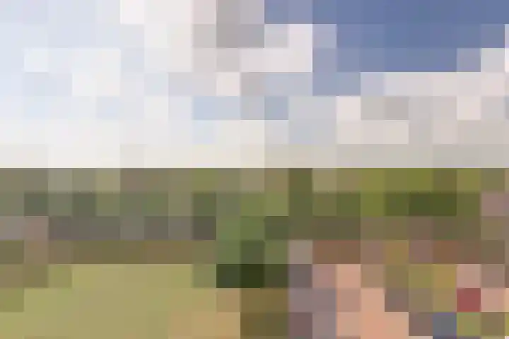 Wilgenhorst 36 Waddinxveen thumbnail 32