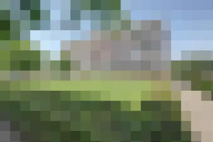 Wilgenhorst 36 Waddinxveen thumbnail 6