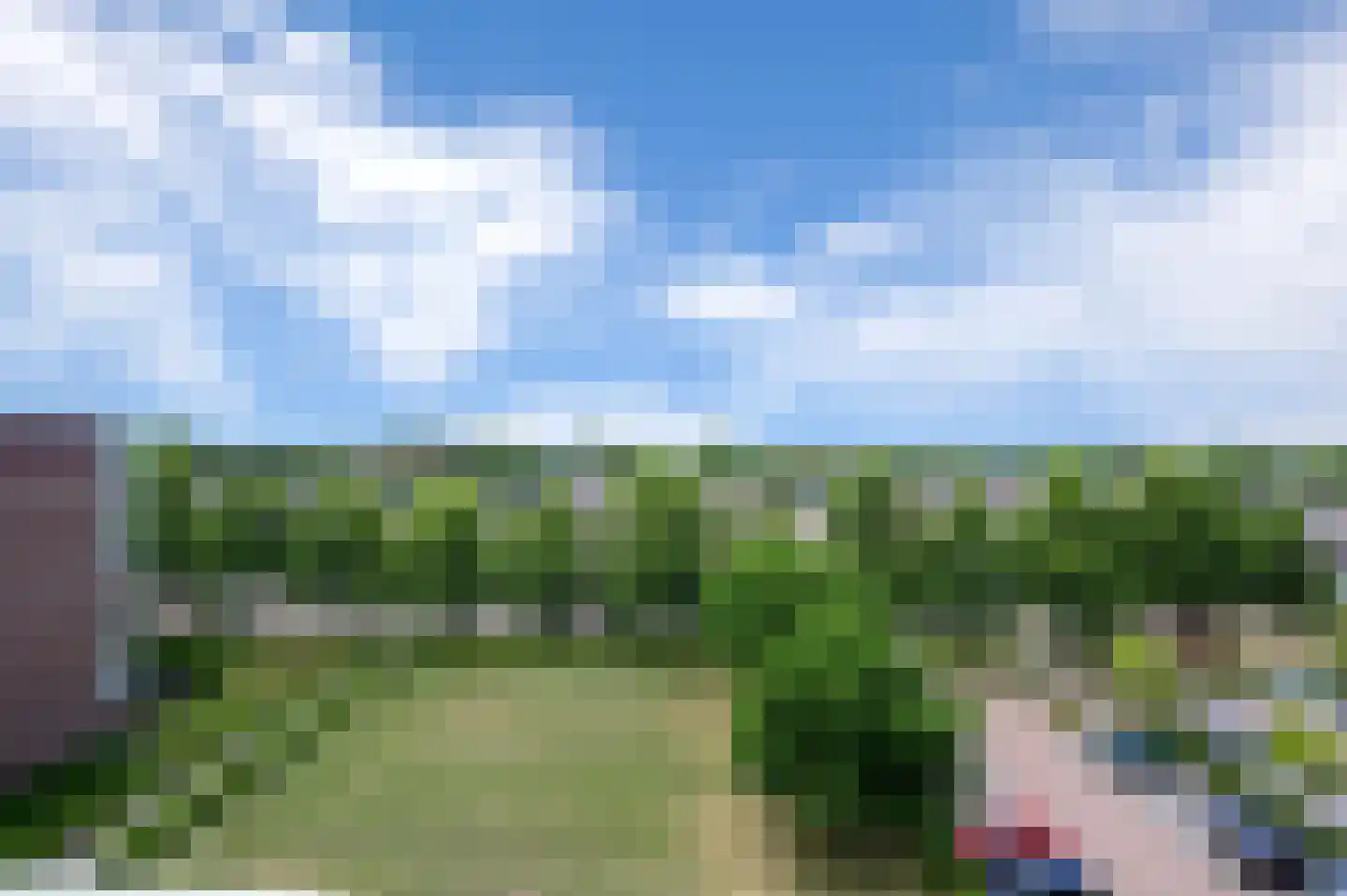 Wilgenhorst 43 Waddinxveen thumbnail 21