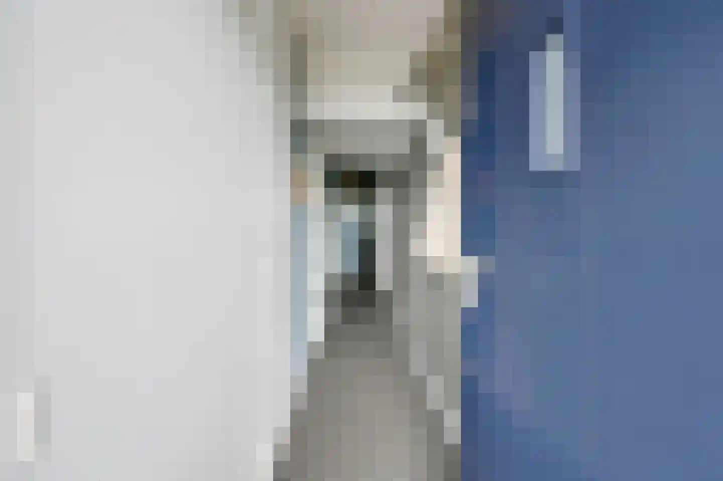 Wilgenhorst 43 Waddinxveen thumbnail 6