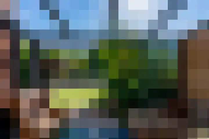 Wilgenhorst 57 Voorhout thumbnail 38