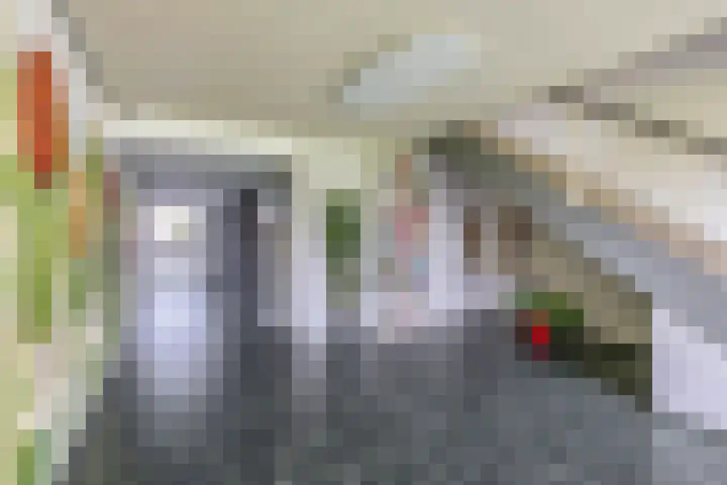 Wilgenhorst 61 Waddinxveen thumbnail 9