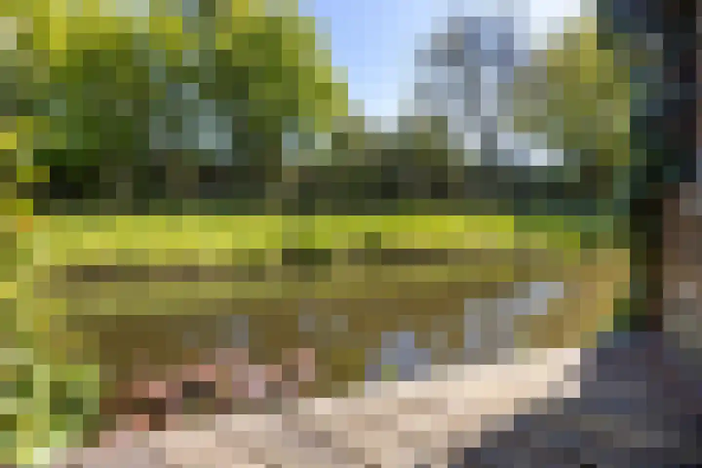 Wilgenhorst 65 Voorhout thumbnail 30