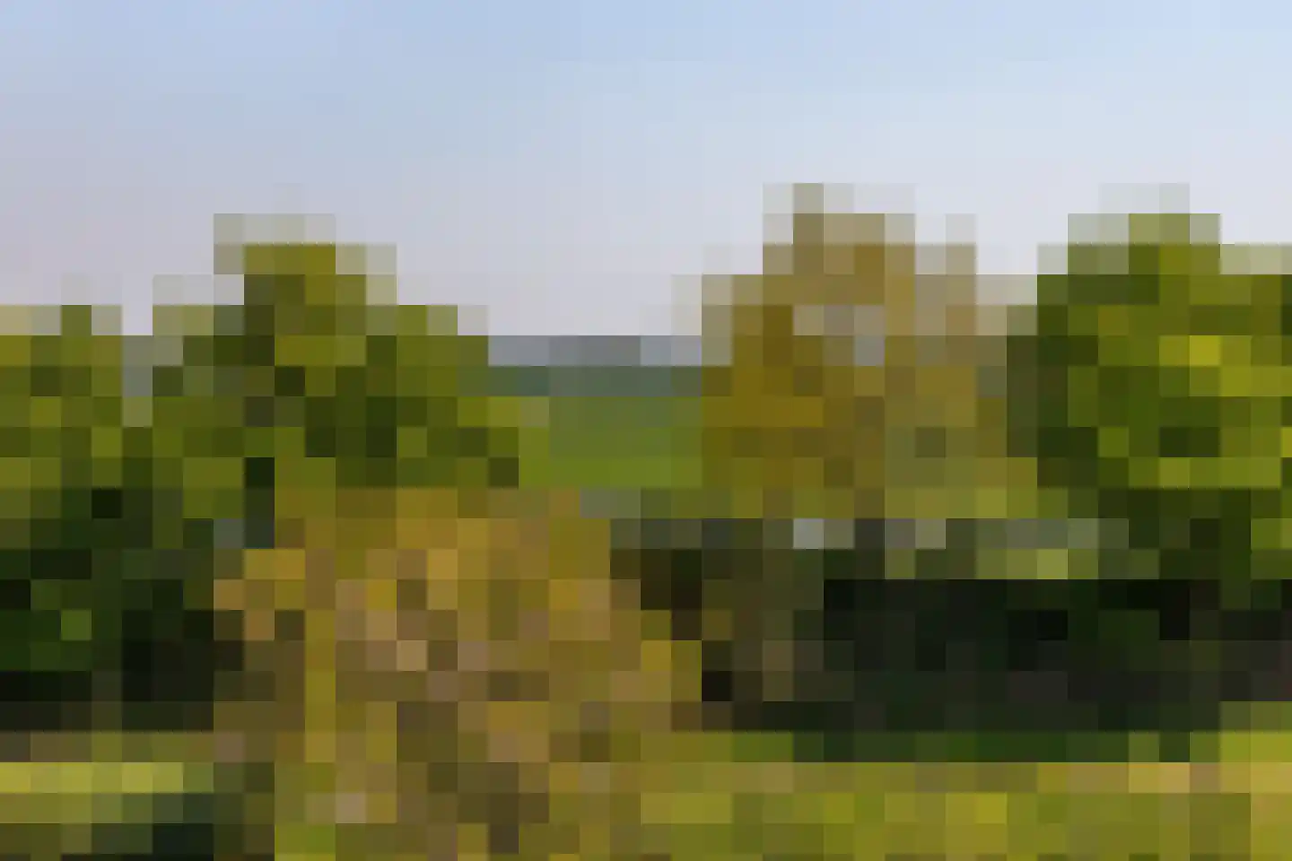 Wilgenhorst 65 Voorhout thumbnail 34