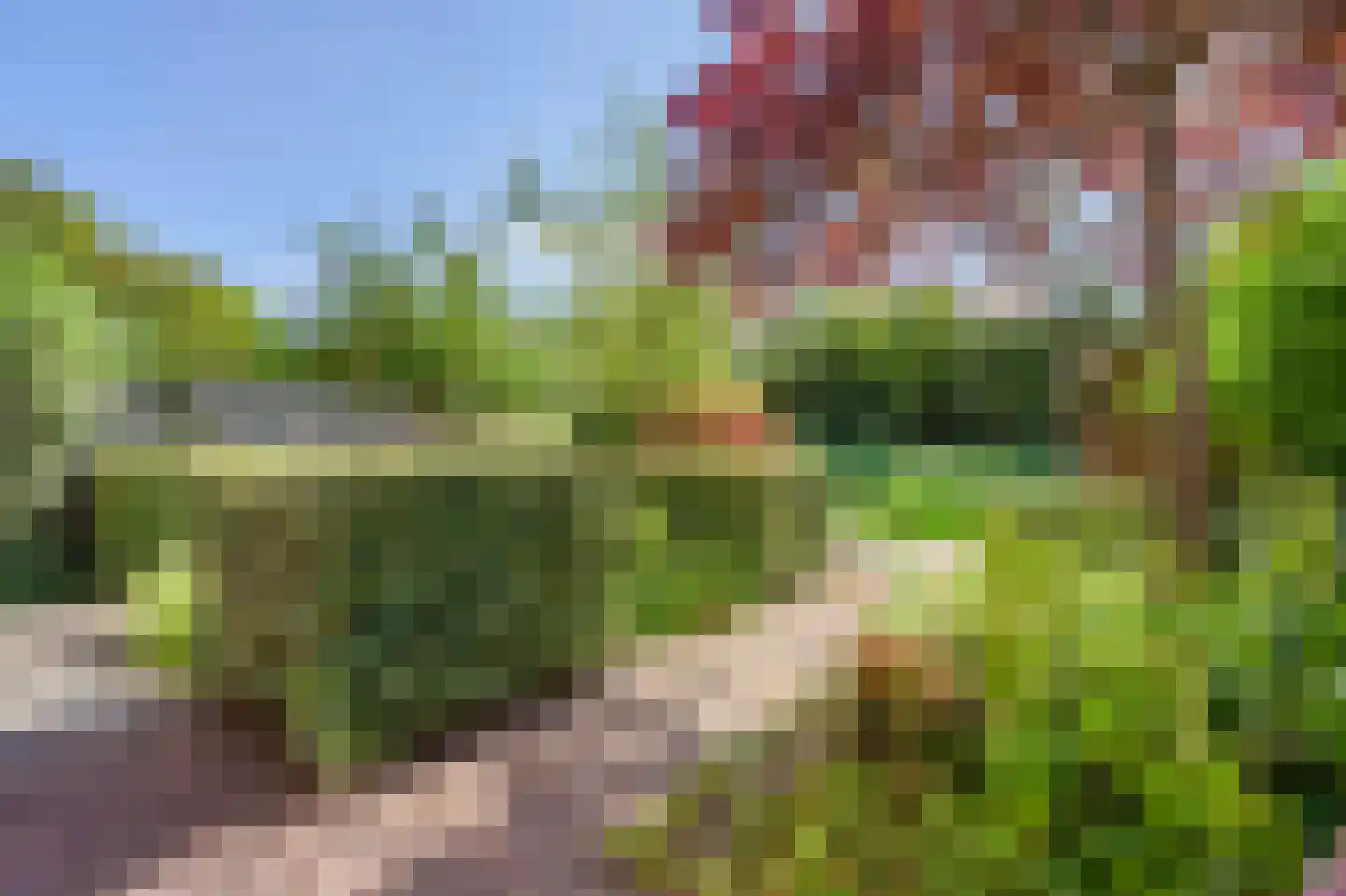 Wilgenhorst 71 Voorhout thumbnail 21