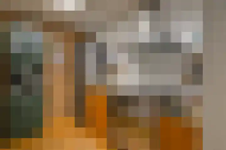 Wilgenhove 29 Kwintsheul thumbnail 10