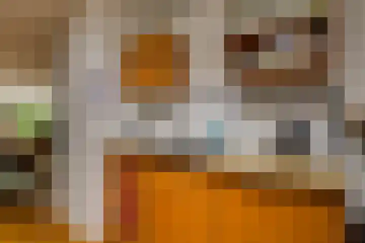 Wilgenhove 29 Kwintsheul thumbnail 11
