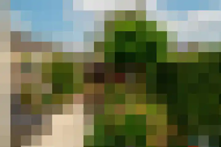 Wilgenhove 29 Kwintsheul thumbnail 13