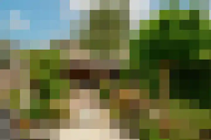 Wilgenhove 29 Kwintsheul thumbnail 14