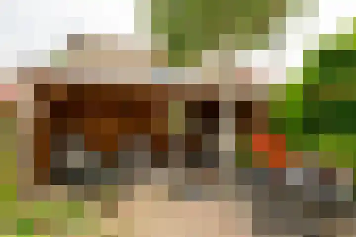 Wilgenhove 29 Kwintsheul thumbnail 15