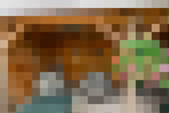 Wilgenhove 29 Kwintsheul thumbnail 16