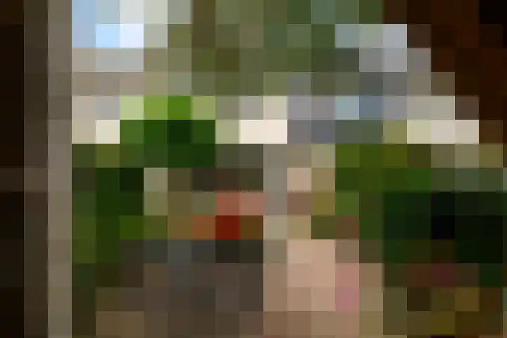 Wilgenhove 29 Kwintsheul thumbnail 17