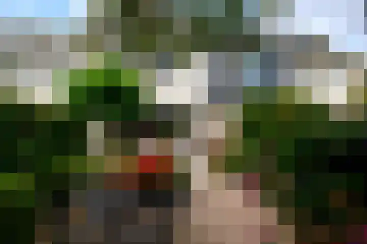 Wilgenhove 29 Kwintsheul thumbnail 18