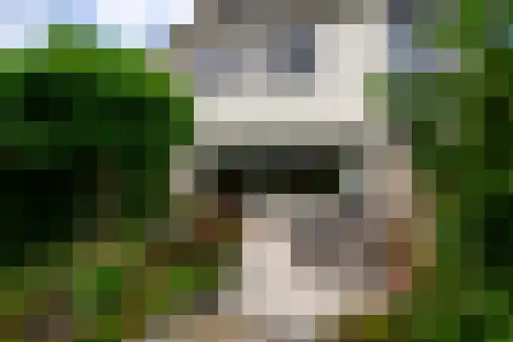 Wilgenhove 29 Kwintsheul thumbnail 19