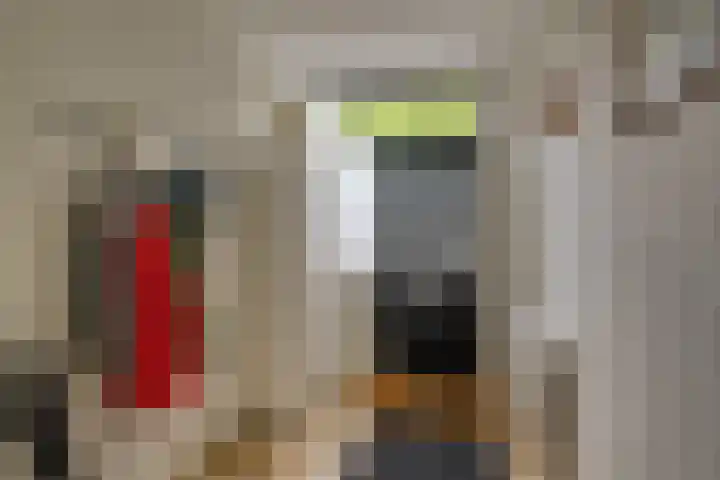 Wilgenhove 29 Kwintsheul thumbnail 20