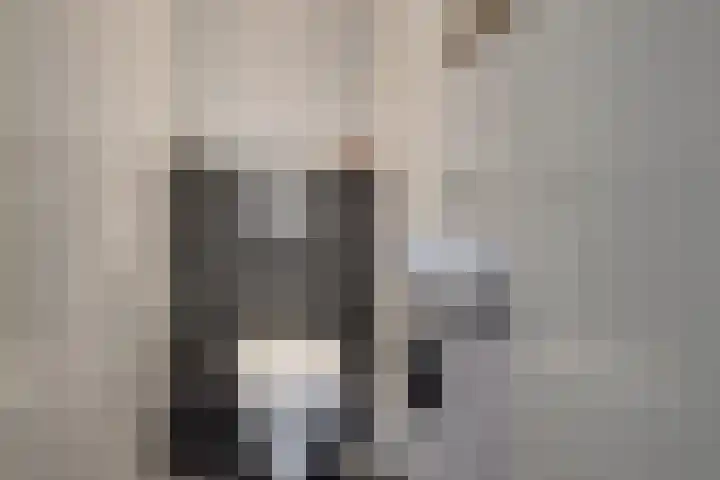 Wilgenhove 29 Kwintsheul thumbnail 21